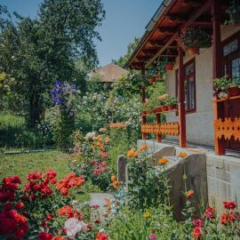 Casa Bajora, hotell i Scorţeni