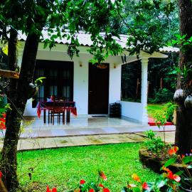 Holly Flowers Villa
