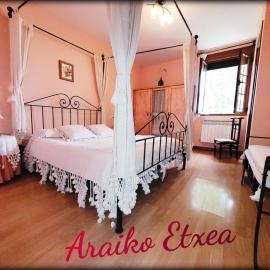 Araiko Etxea Casa Rural, hotel in Tuyo