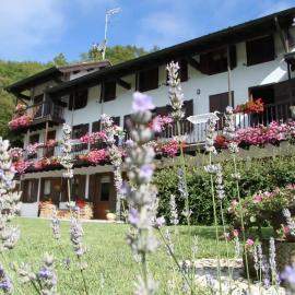 The Duck's Cottage, hotel a Feltre