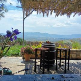 Traditional Creta stone house in serenity village, hotel en Vitsiliá