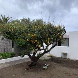 Casa Cristian Stromboli, viešbutis mieste Strombolis