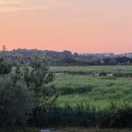 Gîtes de l'Estagnol, ξενοδοχείο σε Villeneuve-les-Maguelonne