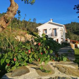 A Casa dos Avós - Alojamento Local, hotel en Sertã