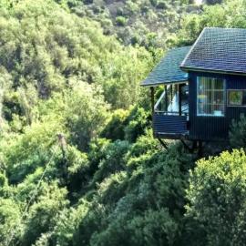 Forest Studio