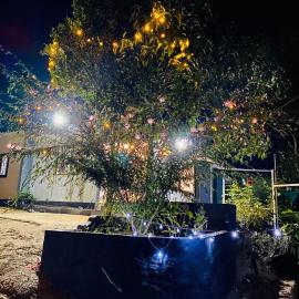 Misty Moon Home stay, hotel in Idukki