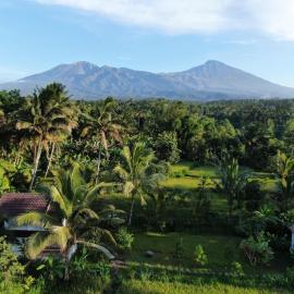 Mu Homestay Tetebatu