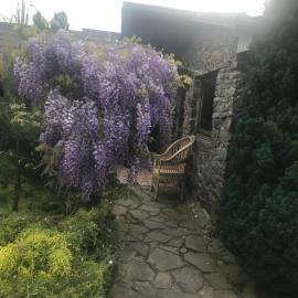Adonis, hotel in Uzhhorod