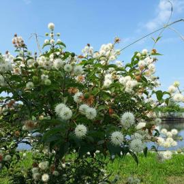Yilan B&B - Happy Snail