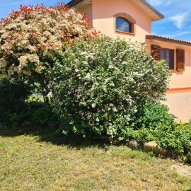 Montepulciano - La Casetta del Pian delle Noci, hotel din Acquaviva