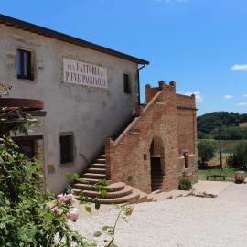 Fattoria di Pieve Pagliaccia - Cantina Brugnoni