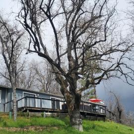 Sequoia Resort, hotel in Badger