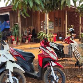 Tree Trails Homestay & Offers Jungle Trekk-Scooter For Rental, hotel di Banlung