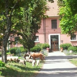 Rionero in Vulture में, होटल Country House Villa delle Rose Agriturismo