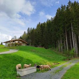 Ferienhaus Hansl, Hotel in Prama