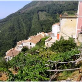A casa di nonna Elvira