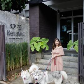 Ketawa Pet Friendly Hotel