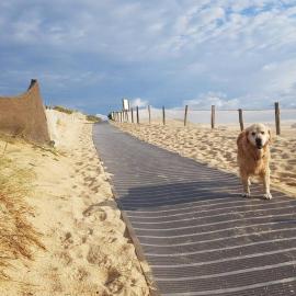 Cocooning et plages, hotell sihtkohas Capbreton