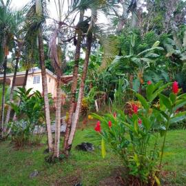 Martinique, la Ptite Maison dans la colline, hotel i Le Lamentin
