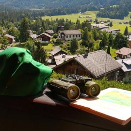 Studio avec vue splendide sur les Diablerets, отель в городе Ле-Дьяблере