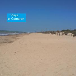 La Pavona 11 - 1ª línea de Playa Chipiona, hotel Chipionában
