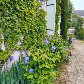 Ode au Bonheur St Georges sur Cher, hotel in Saint-Georges-sur-Cher