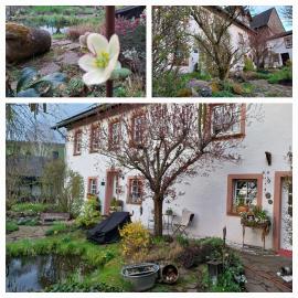 Ferienwohnung Zum Jehöschnis, hotel in Gerolstein