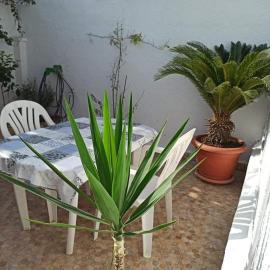 La crique, hotell i Alger