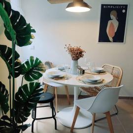 Douro Valley Terrace Apartments – hotel w mieście Armamar