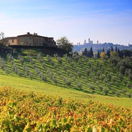 Agriturismo Montegonfoli, hotel in San Gimignano