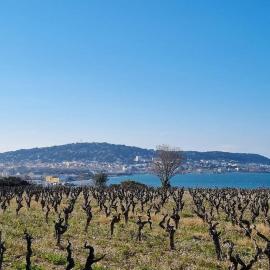 Maison de campagne vue Étang de Thau !
