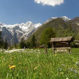 Lepa Lopa resort: Stahovica şehrinde bir otel