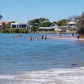 Anchors Away at Innes Park Opp Park & Beach dogs welcome inside, hotel in Pemberton