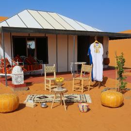Young luxury camp