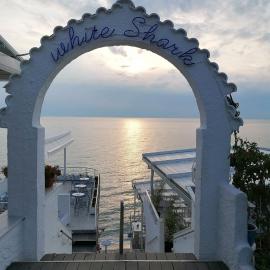 Olympos Beach, hotel in Plaka Litochorou