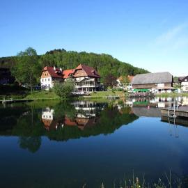 Seegasthof Breineder - Familien & Seminarhotel, hotel en Mönichwald