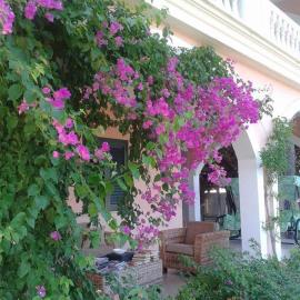Stella marina residence, hotel a Lendinuso