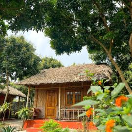 Ninh Binh Bamboo Farmstay, Hotel in Ninh Bình