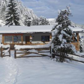 Chalet in Niederndorf near Skiwelt Ski Lift