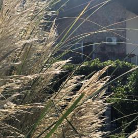 Skadar Lake Apartment -Karolina, Hotel in Vranjina