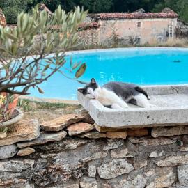Aire Naturelle Camping Domaine de Mombret Haut, hotel di Duravel