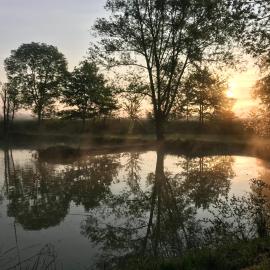 Marigny-lès-Reullée में, होटल DOMAINE DES GALINACES ROULOTTE LA ROUSSETTE 2-4P