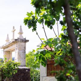 Quinta da Carvalhosa