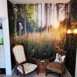 Ferienwohnung Palmenwald, hotell i Freudenstadt