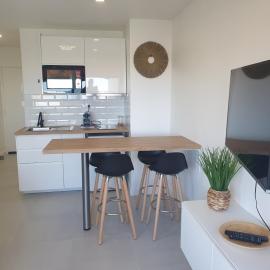 Studio Carnon bord de plage climatisé