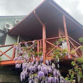 FKoka, hotel in Berehove
