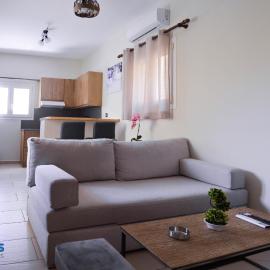 Dounavis Homes: The Hidden Olive