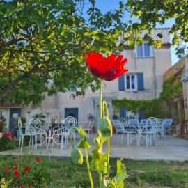 La Ferme Constantin, hotel v mestu Fayence