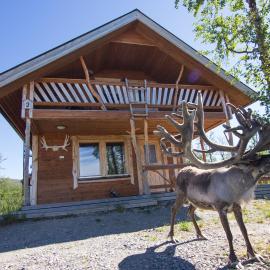 Saivaara Mökit Cottages, хотел в Килписярви