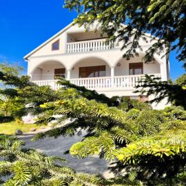 White house with Citrus Garden, 15 min walk to Beach